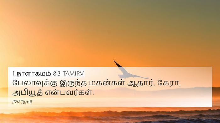 1 நாளாகமம் 8:3 TAMIRV 4K Wallpaper - பேலாவுக்கு இருந்த - 4K Wallpaper Bible Verse