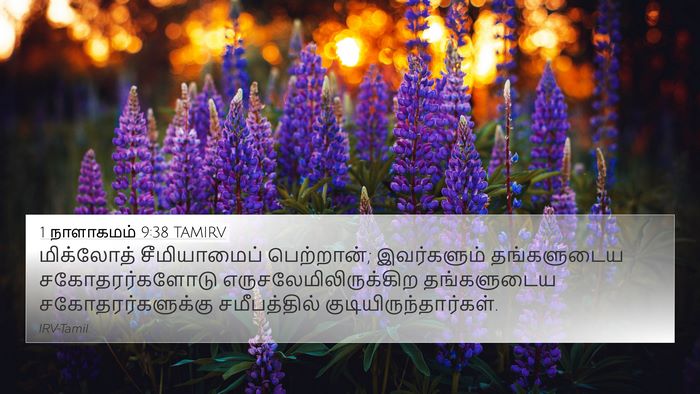 1 நாளாகமம் 9:38 TAMIRV Bible Verse Image
