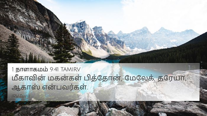 1 நாளாகமம் 9:41 TAMIRV 4K Wallpaper - மீகாவின் மகன்கள் - 4K Wallpaper Bible Verse