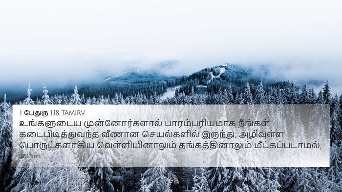 1 பேதுரு 1:18 TAMIRV Bible Verse Image