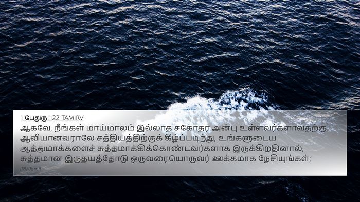 1 பேதுரு 1:22 TAMIRV Bible Verse Image