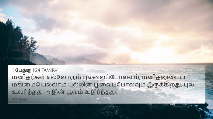 1 பேதுரு 1:24 TAMIRV Bible Verse Image
