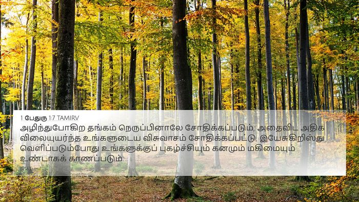 1 பேதுரு 1:7 TAMIRV Bible Verse Image