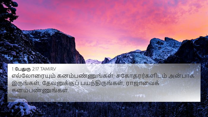 1 பேதுரு 2:17 TAMIRV Bible Verse Image