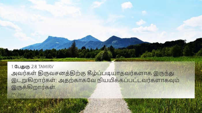 1 பேதுரு 2:8 TAMIRV Bible Verse Image