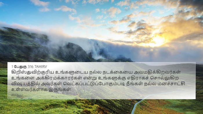 1 பேதுரு 3:16 TAMIRV Bible Verse Image