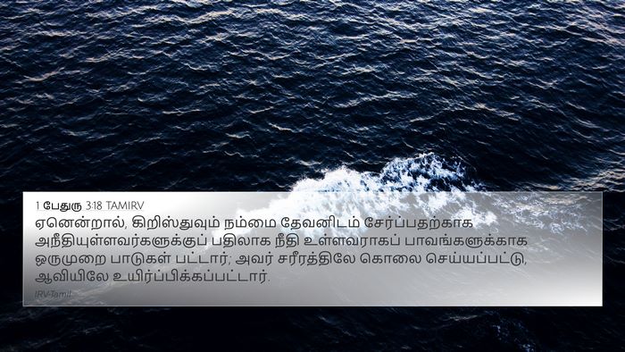 1 பேதுரு 3:18 TAMIRV Bible Verse Image