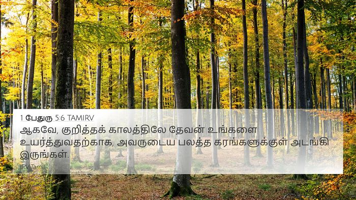 1 பேதுரு 5:6 TAMIRV Bible Verse Image