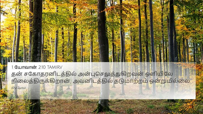 1 யோவான் 2:10 TAMIRV Bible Verse Image