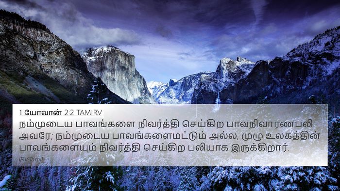 1 யோவான் 2:2 TAMIRV Bible Verse Image