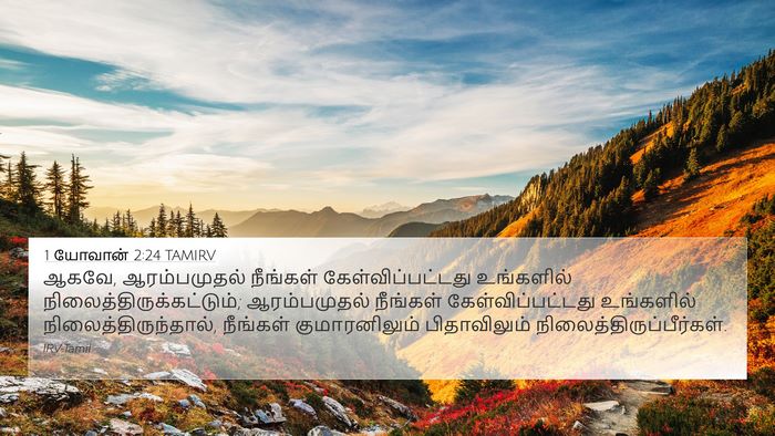 1 யோவான் 2:24 TAMIRV Bible Verse Image