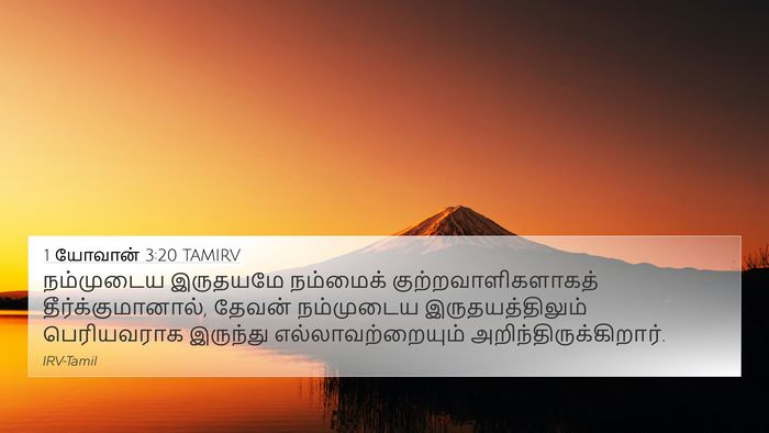 1 யோவான் 3:20 TAMIRV Bible Verse Image