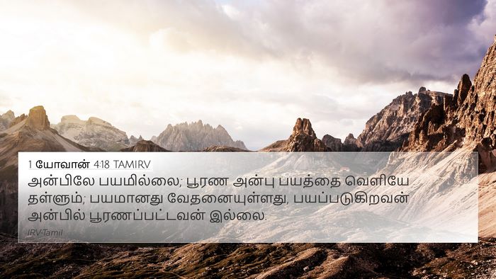 1 யோவான் 4:18 TAMIRV Bible Verse Image