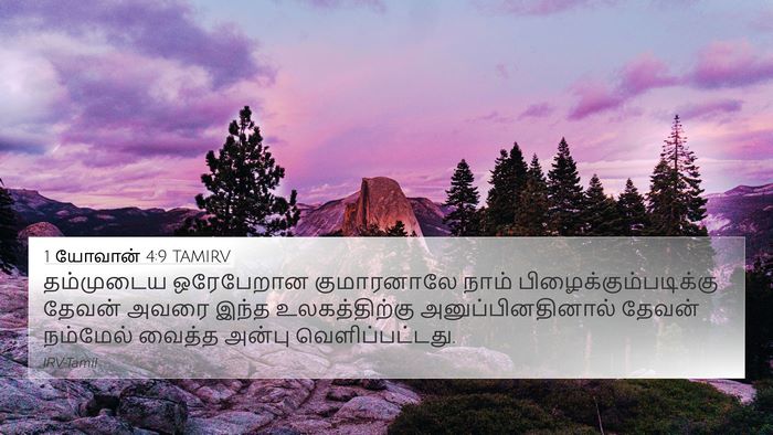1 யோவான் 4:9 TAMIRV Bible Verse Image