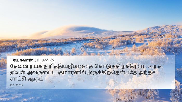 1 யோவான் 5:11 TAMIRV Bible Verse Image