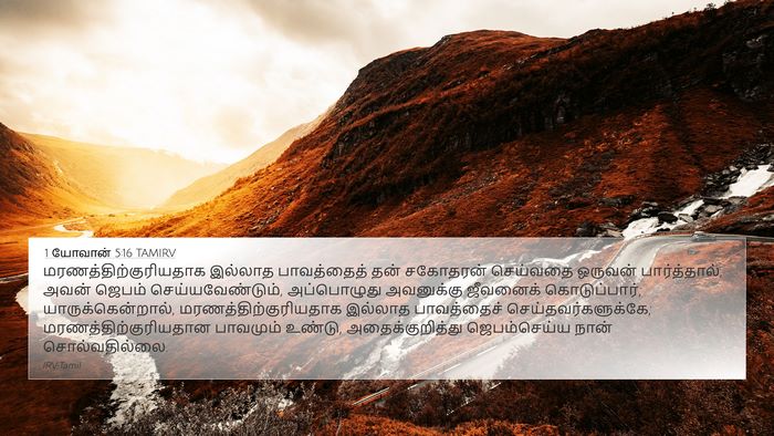 1 யோவான் 5:16 TAMIRV Bible Verse Image