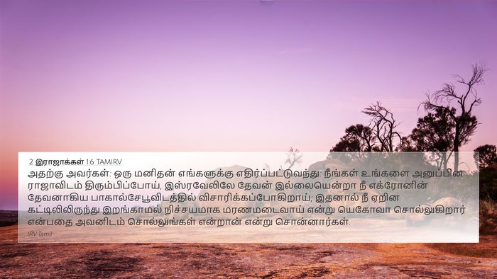 2 இராஜாக்கள் 1:6 TAMIRV Bible Verse Image