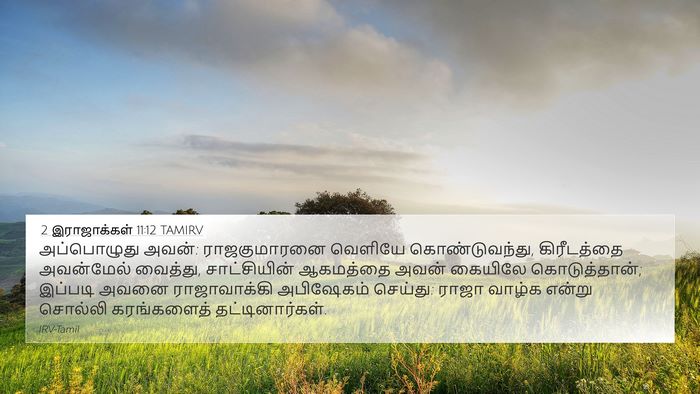2 இராஜாக்கள் 11:12 TAMIRV Bible Verse Image