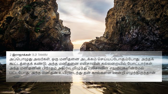 2 இராஜாக்கள் 13:21 TAMIRV Bible Verse Image