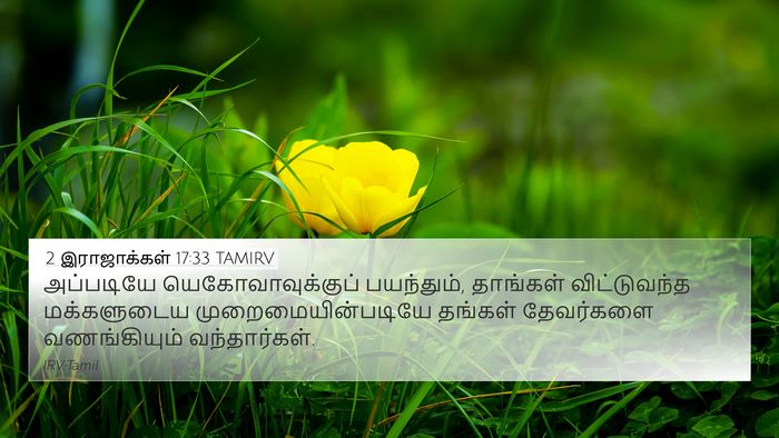 2 இராஜாக்கள் 17:33 TAMIRV Bible Verse Image