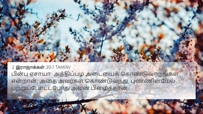2 இராஜாக்கள் 20:7 TAMIRV 4K Wallpaper - பின்பு ஏசாயா: - 4K Wallpaper Bible Verse