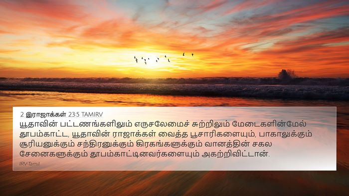 2 இராஜாக்கள் 23:5 TAMIRV Bible Verse Image