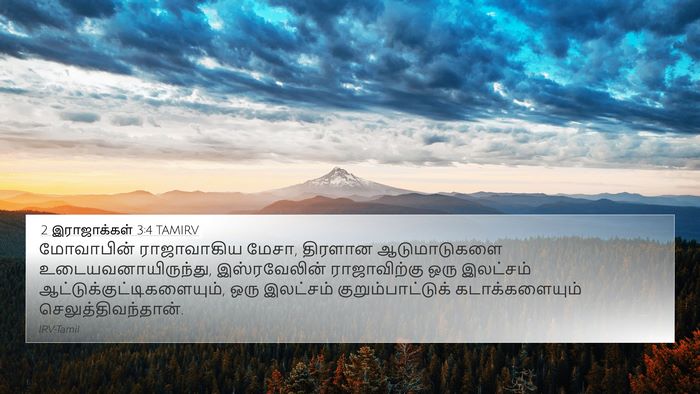 2 இராஜாக்கள் 3:4 TAMIRV Bible Verse Image