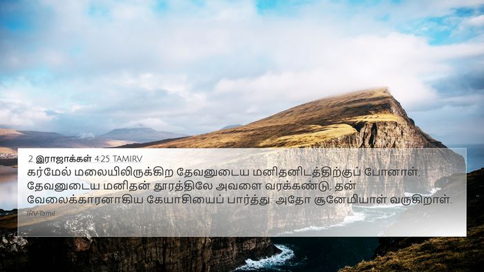 2 இராஜாக்கள் 4:25 TAMIRV Bible Verse Image