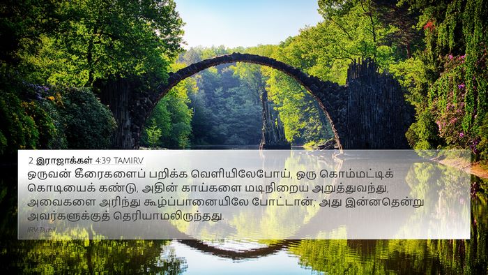 2 இராஜாக்கள் 4:39 TAMIRV 4K Wallpaper - ஒருவன் கீரைகளைப் - 4K Wallpaper Bible Verse