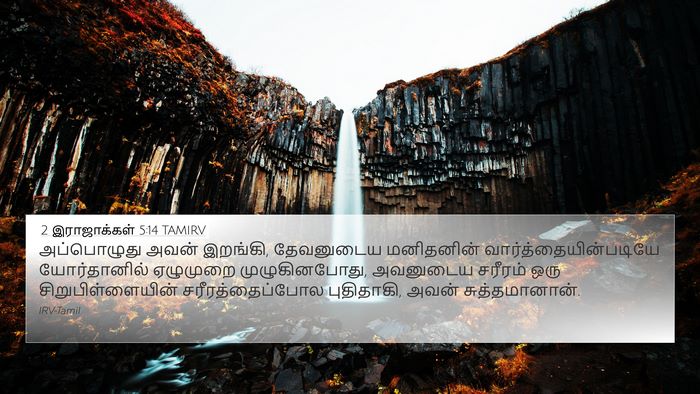 2 இராஜாக்கள் 5:14 TAMIRV Bible Verse Image