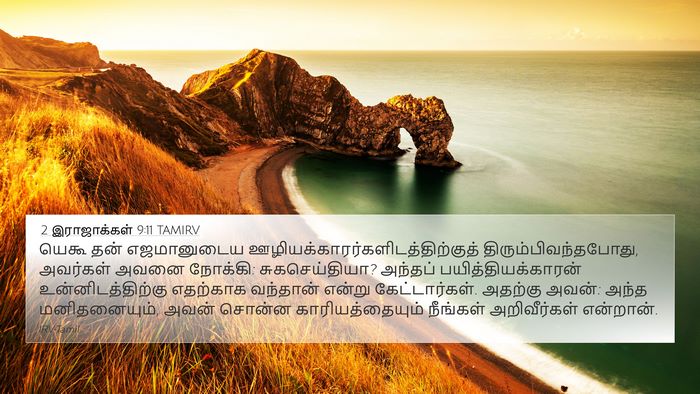 2 இராஜாக்கள் 9:11 TAMIRV Bible Verse Image