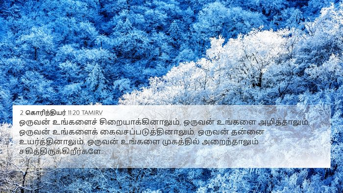 2 கொரிந்தியர் 11:20 TAMIRV Bible Verse Image