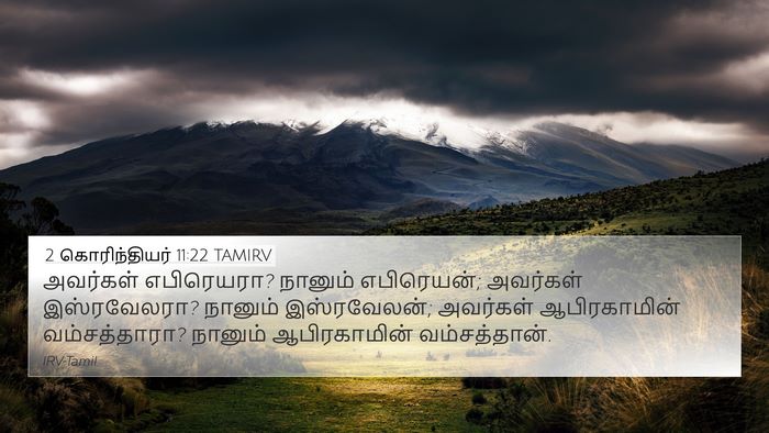 2 கொரிந்தியர் 11:22 TAMIRV Bible Verse Image