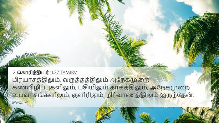 2 கொரிந்தியர் 11:27 TAMIRV Bible Verse Image