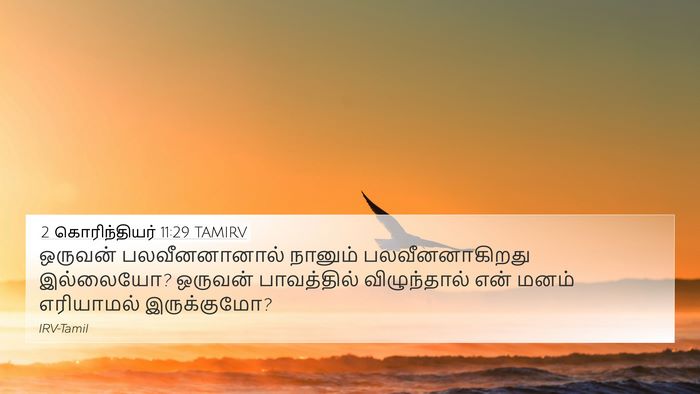 2 கொரிந்தியர் 11:29 TAMIRV Bible Verse Image