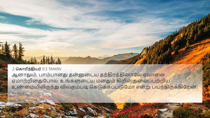 2 கொரிந்தியர் 11:3 TAMIRV Bible Verse Image