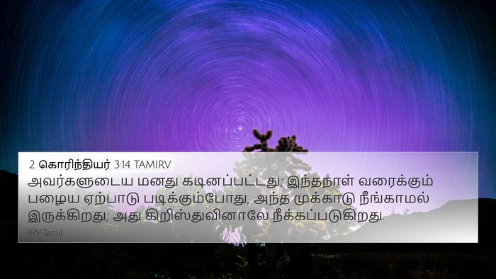 2 கொரிந்தியர் 3:14 TAMIRV Bible Verse Image
