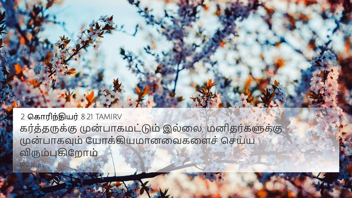2 கொரிந்தியர் 8:21 TAMIRV Bible Verse Image