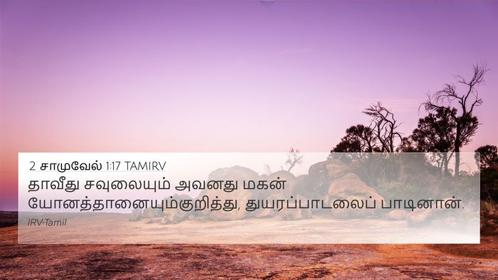 2 சாமுவேல் 1:17 TAMIRV Bible Verse Image