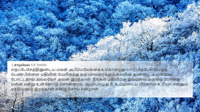 2 சாமுவேல் 11:21 TAMIRV Bible Verse Image