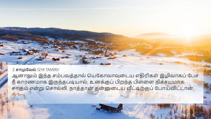 2 சாமுவேல் 12:14 TAMIRV Bible Verse Image