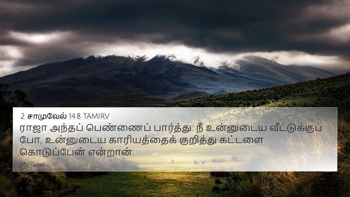 2 சாமுவேல் 14:8 TAMIRV 4K Wallpaper - ராஜா அந்தப் - 4K Wallpaper Bible Verse