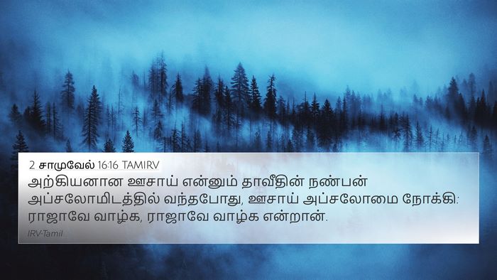 2 சாமுவேல் 16:16 TAMIRV Bible Verse Image