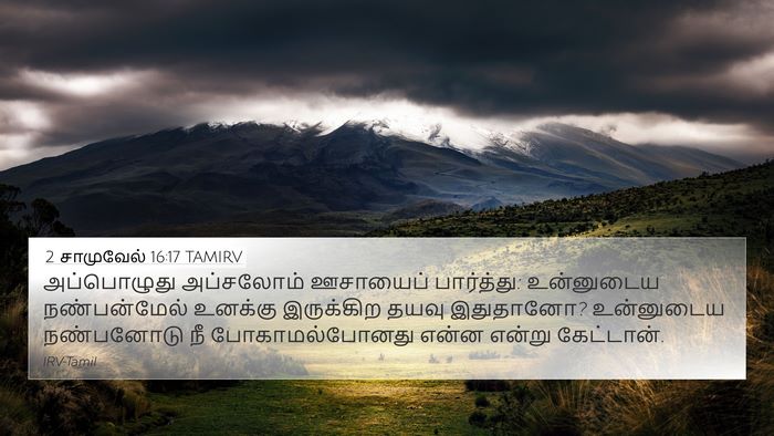 2 சாமுவேல் 16:17 TAMIRV Bible Verse Image