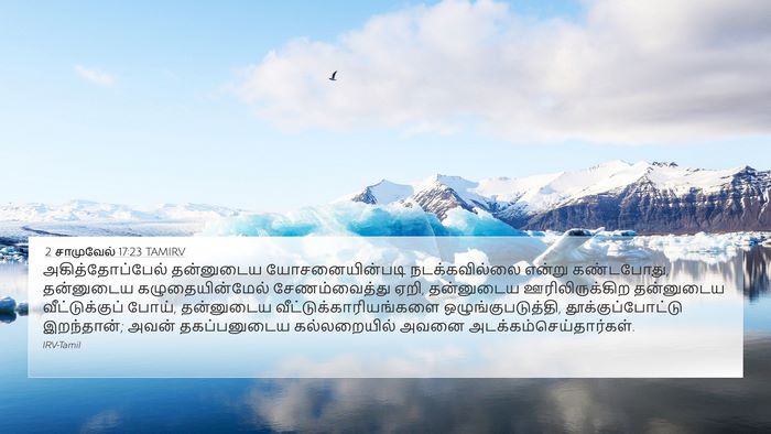 2 சாமுவேல் 17:23 TAMIRV Bible Verse Image