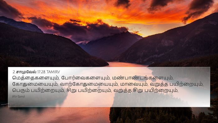 2 சாமுவேல் 17:28 TAMIRV Bible Verse Image