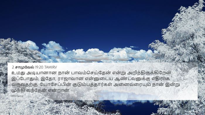 2 சாமுவேல் 19:20 TAMIRV Bible Verse Image