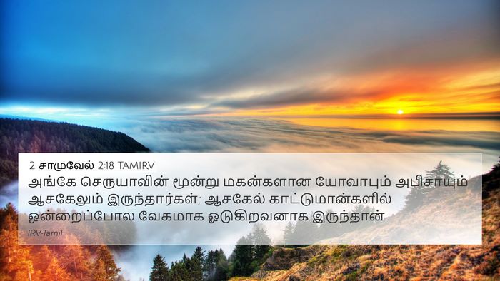 2 சாமுவேல் 2:18 TAMIRV 4K Wallpaper - அங்கே செருயாவின் - 4K Wallpaper Bible Verse