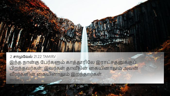 2 சாமுவேல் 21:22 TAMIRV Bible Verse Image