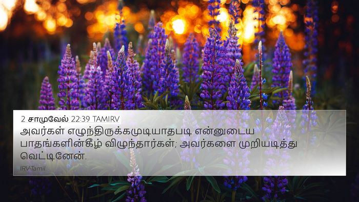 2 சாமுவேல் 22:39 TAMIRV 4K Wallpaper - அவர்கள் - 4K Wallpaper Bible Verse